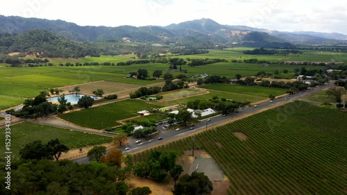 Wallpaper Mural Smooth aerial orbit of symmetrical Napa Valley vineyards with scenic surrounding hills Torontodigital.ca