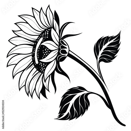 Detailed sunflower blossom illustration shows artistic contour lines and shading for a sophisticated impact