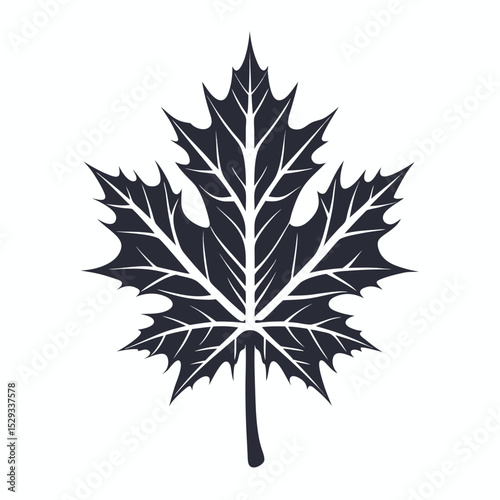 Isolated maple leaf with detailed veins stands boldly against a crisp white background