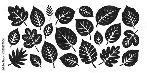 Black leaf silhouettes with detailed vein patterns in assorted natural shapes, vector illustration set. Decorative foliage icons include rounded, pointed, and lobed leaf forms.