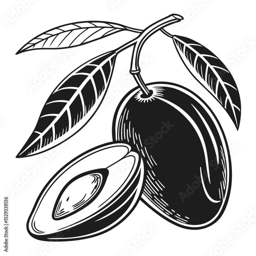 Monochrome branch showcases single plum and half plum fruit in style