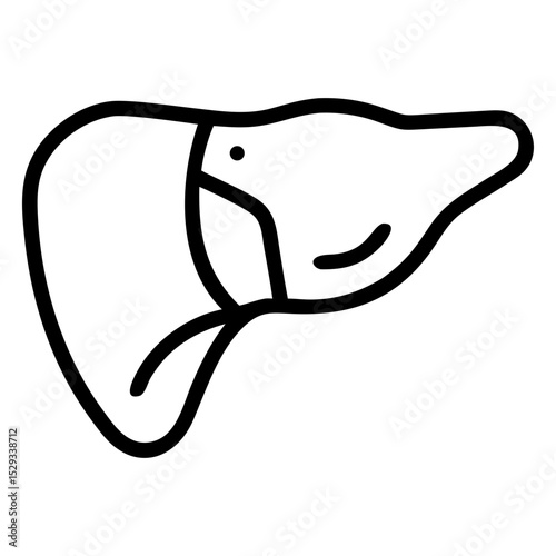 Liver icon