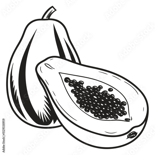 Monochrome papaya drawing showcases a halved fruit revealing its seeds and unique botanical lines