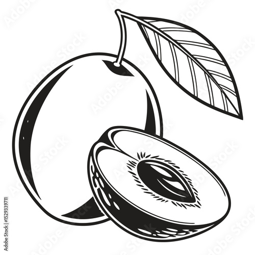 Monochrome shows plum with leaf and halved fruit exposing inner pit in art