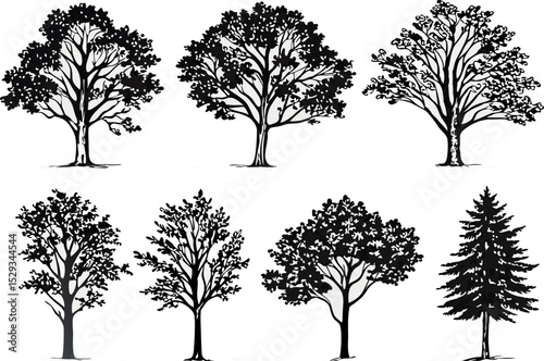 Collection of hand drawn black and white silhouettes of various trees