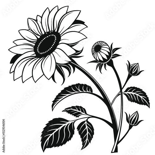 Sunflower illustration showcasing flower, leaves, and stem displayed in simple, elegant, and monochrome line art