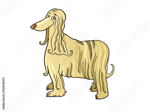 The Stunning Beauty of the Afghan Hound Elegant Dog Breed