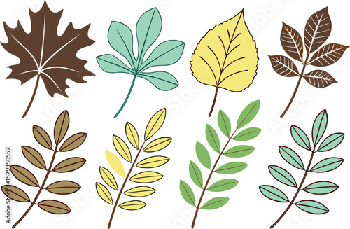 Colorful set of drawn leaves in various autumnal hues and styles isolated