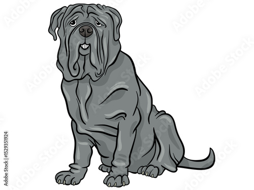 Understanding The Neapolitan Mastiff Breed History Temperament and Care