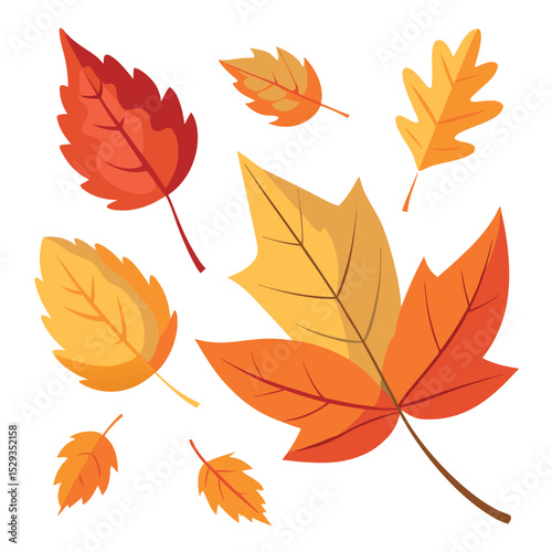 Autumn leaves falling isolated on white background