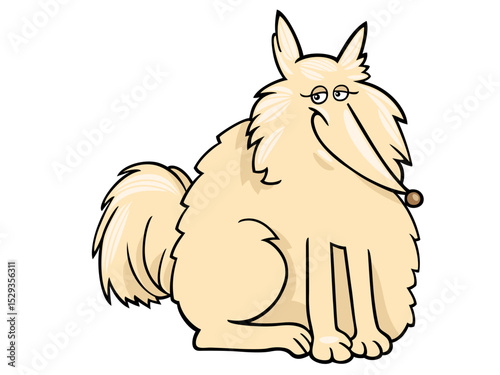 Fluffy Cream Colored Dog Sitting Patiently Waiting for Treats or Playtime