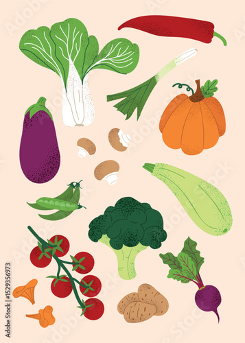 Vegetable set with eggplant, pumpkin, tomato, broccoli, mushrooms, peas, zucchini, beetroot. Organic veggie clipart collection. Healthy organic food ingredients. Vector clipart on pastel background.