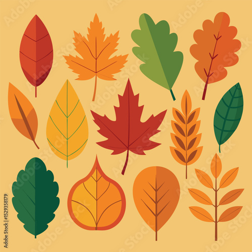 Flat design autumn leaves set