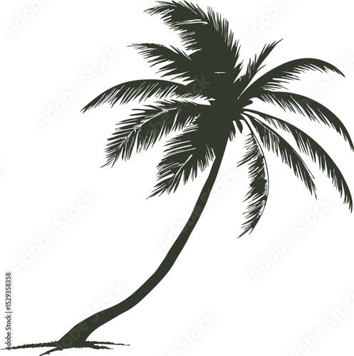 A black silhouette of a leaning palm/coconut tree with foliage and grassy ground is depicted in this image
