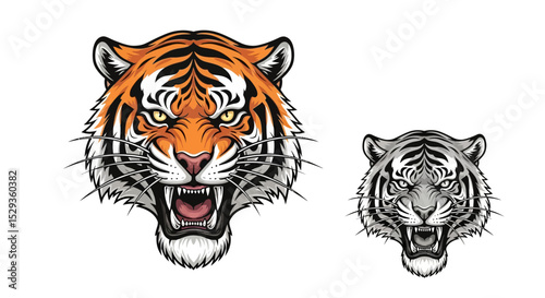 Two Tiger Heads: One Orange and Black, One Gray and Black