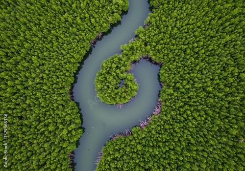 A tranquil Tanzanian mangrove swamp thrives with twisted roots and brackish waters—an essential habitat teeming with biodiversity and coastal beauty.