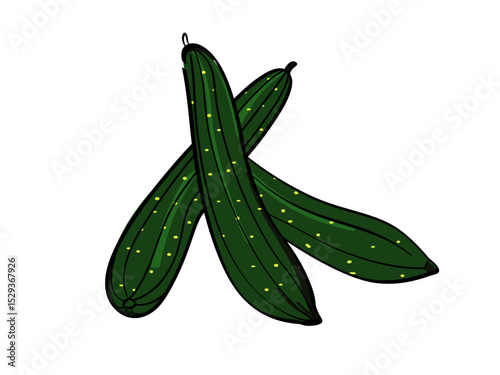 Fresh Green Cucumbers Crossed Over White Background Healthy Vegetables