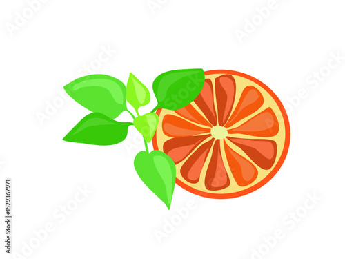 Fresh Juicy Orange Slice with Green Leaves Healthy Fruit Food Ingredient