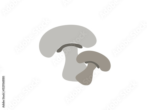 A Pair of Fresh White Button Mushrooms Ready for Your Next Culinary Creation