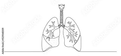 lungs one line vector drawing
