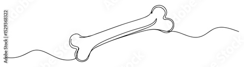 bone one line minimal illustration