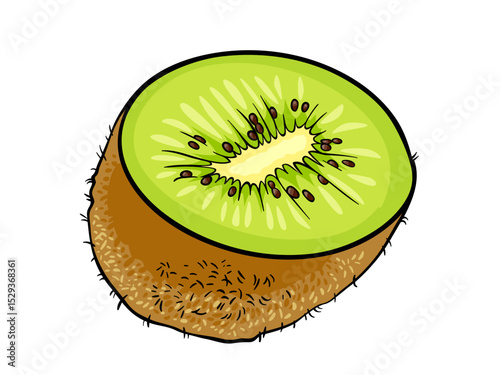 Freshly Cut Ripe Kiwi Fruit Healthy Delicious Tropical Food