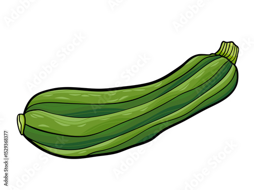 Delicious Recipes for Summer Squash Zucchini Garden Vegetable for Healthy Eating
