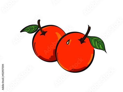 Delicious Red Apples Harvested Fresh from an Orchard Tree