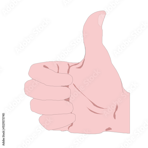 Positive Gesture of Approval and Agreement with a Thumbs Up Hand Sign