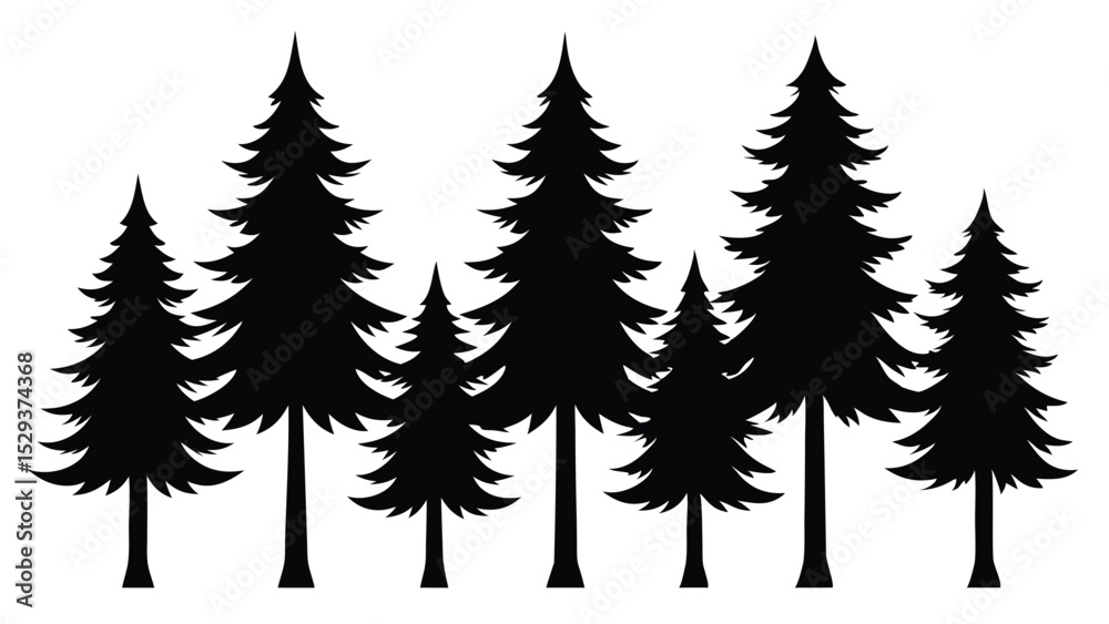 Fototapeta premium Silhouettes of evergreen trees in a forest