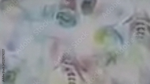 Blurred microscopic image of diatoms