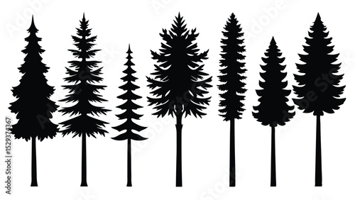 Seven silhouettes of evergreen trees in a row