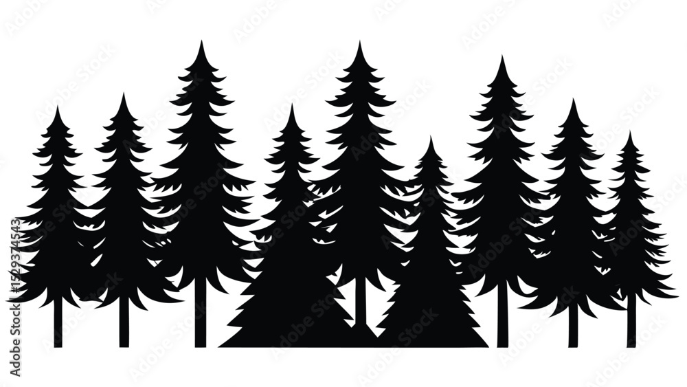 Fototapeta premium Majestic silhouette of a pine forest at sunset