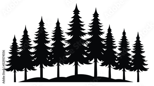 Majestic silhouette of evergreen trees in a forest