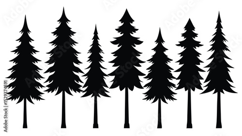 Silhouettes of seven evergreen trees in a row
