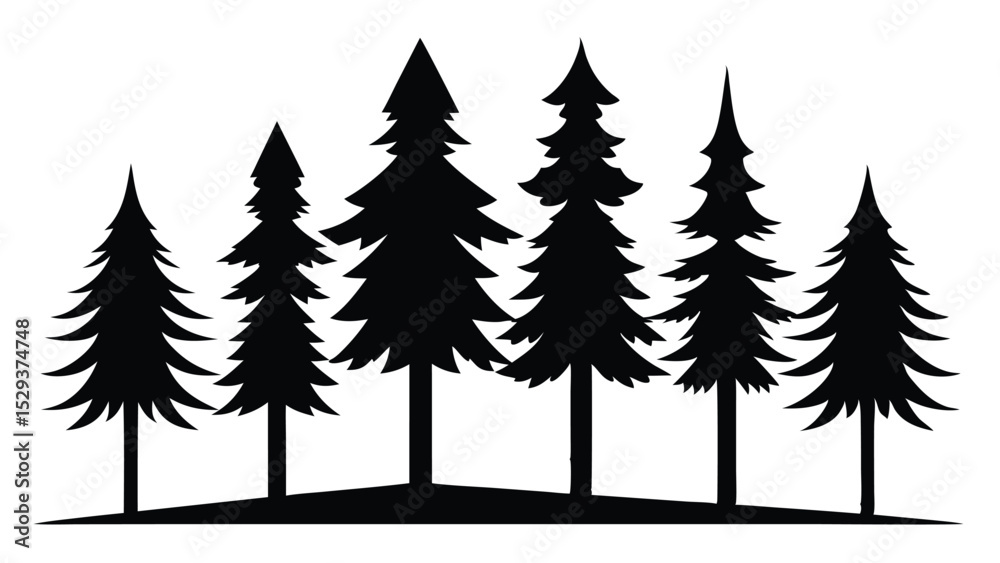 Fototapeta premium Silhouetted evergreen trees on a hilltop
