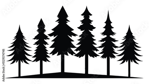 Silhouetted evergreen trees on a hilltop