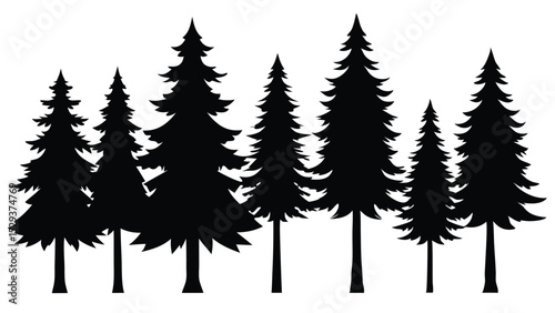 Silhouetted evergreen trees winter forest landscape
