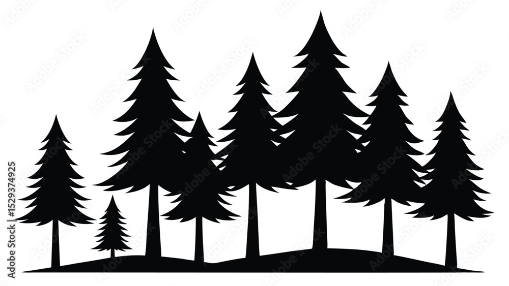 Fototapeta premium Silhouetted pine trees forest woodland nature scene