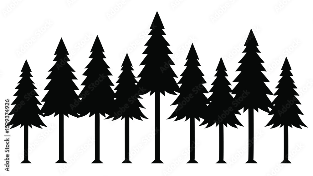 Fototapeta premium Silhouetted pine trees forest winter nature landscape
