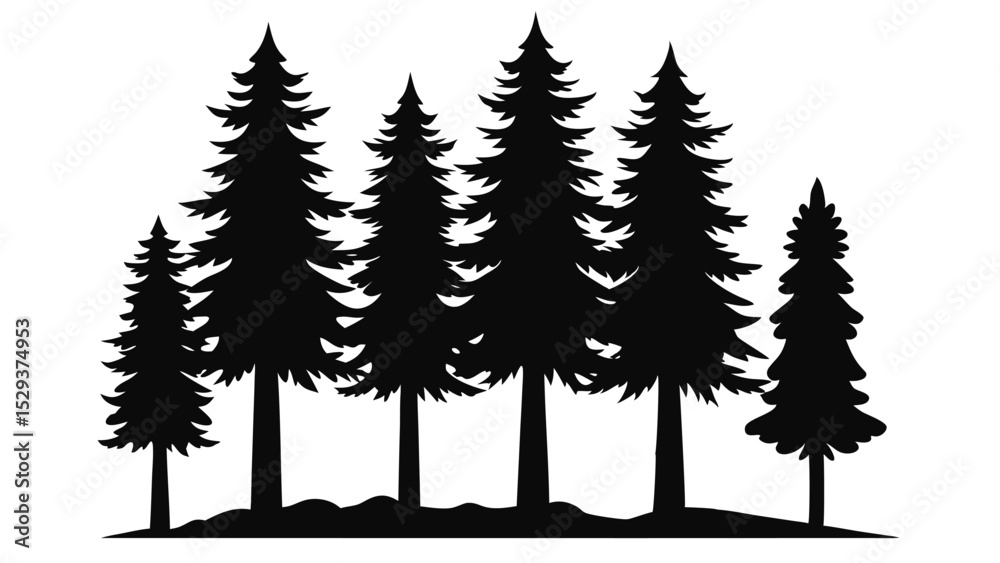 Fototapeta premium Majestic silhouette of evergreen trees in a forest