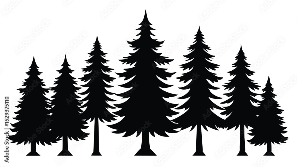 Obraz premium Silhouettes of evergreen trees in a forest
