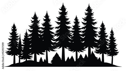 Majestic silhouette of evergreen trees in a forest