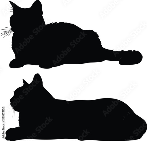 Black cat silhouette vector illustration of a wild feline mammal