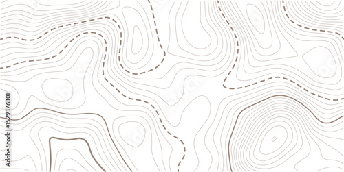 Abstract topo contour map on white background, Topographic map Topographic contour lines map seamless pattern. Geographic mountain relief diagram line wave carve pattern