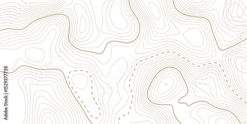 Abstract topo contour map on white background, Topographic map Topographic contour lines map seamless pattern. Geographic mountain relief diagram line wave carve pattern