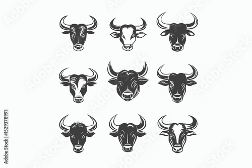 bull