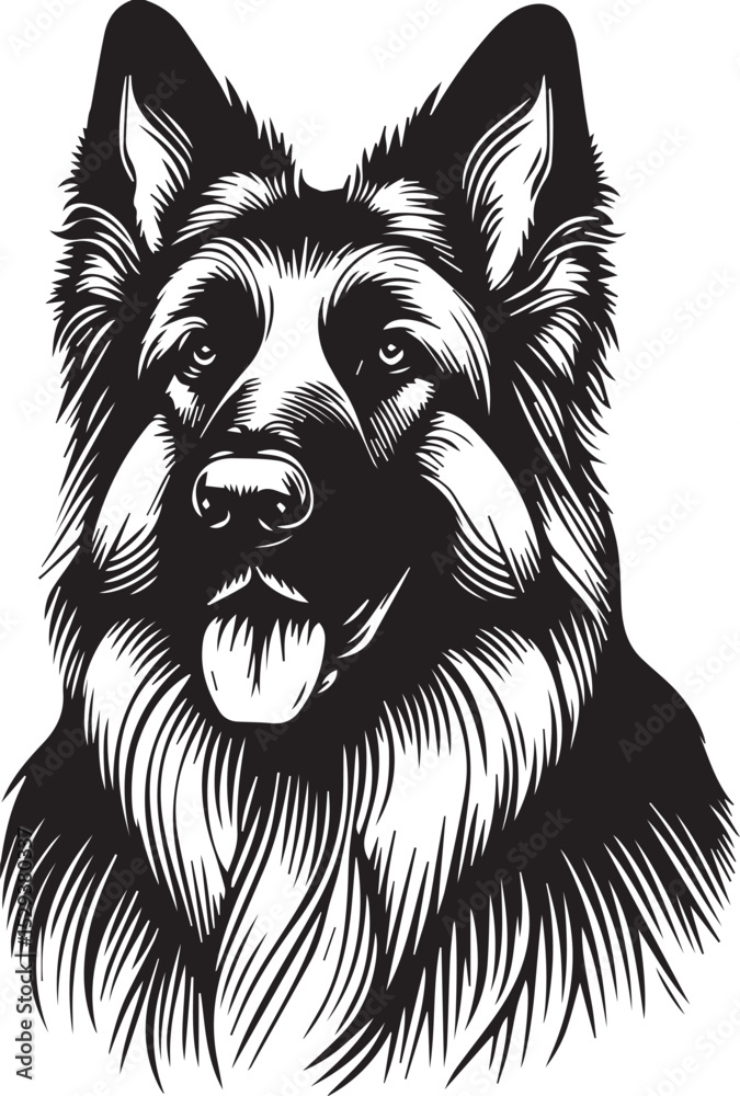 Naklejka premium Print Long-Haired German Shepherd Dog Head Vector