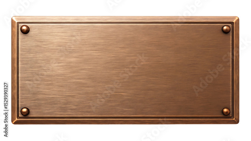 Brushed copper metal plate blank sign