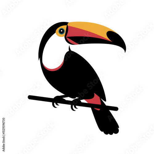 toucan on a white background 